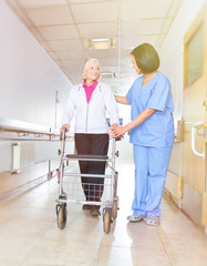 Asian doctor assisting woman with walker at hospital, sunlight coming from outdoor