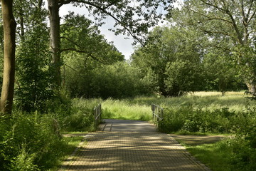 Route pavée stoppant brusquement après le petit pont devant une prairie au domaine provincial de Vrijbroekpark à Anvers