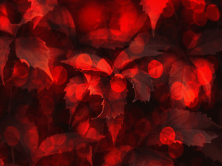 Red toned bokeh foliage trendy background