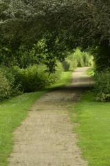 Chemin en pleine nature luxuriante passant sous un tunnel de verdure au domaine provinciale de Vrijbroekpark à Malines