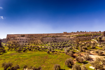 The city wall of Jerusalem, view from Mount Of Olives, Israel, Middle East