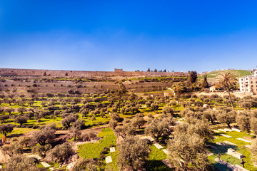 Fototapeta na wymiar The city wall of Jerusalem, view from Mount Of Olives, Israel, Middle East