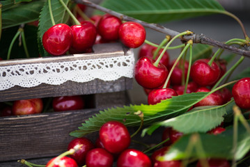 Cherries with leaves in vintage wooden box on rustic wooden table. Copy space