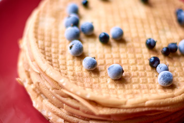 pancakes black currant berries