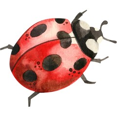 Watercolor pattern cute red ladybug, insects in watercolor technique is perfect for printing fabrics, Wallpaper, paper, etc-Illustration