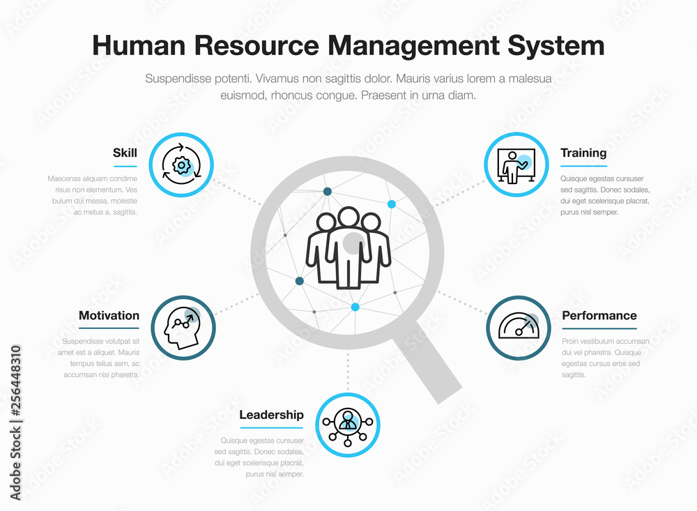 Poster simple vector infographic for human resource management system with line icons and place for your co
