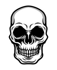 Detailed Classic Skull Head Black and White Illustration