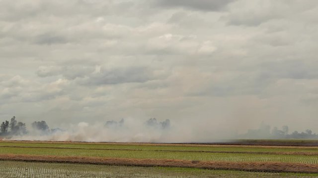 Extreme Fire In The Field.
