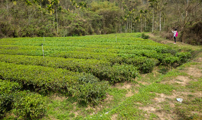 traveling woman take a picture