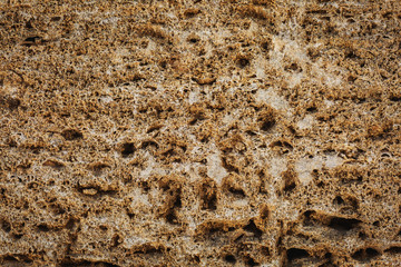 porous texture of shell rock, as a material for building walls
