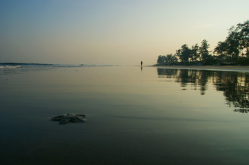 dawn on the tropical shore. reflection of the dawn sky and tropical trees in the water