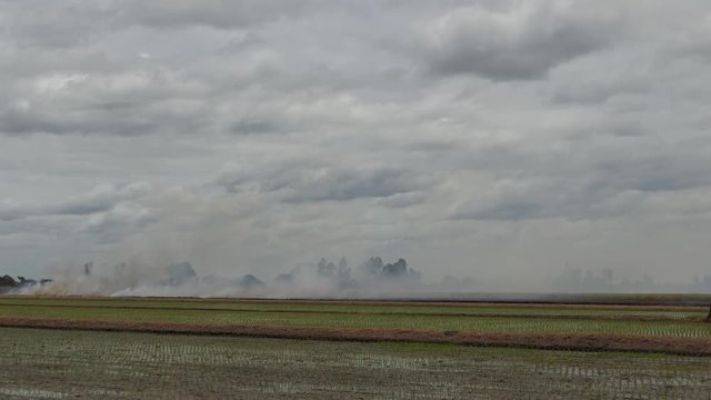Extreme Fire In The Field.