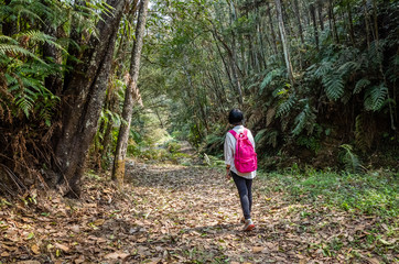 traveling woman walk in forest