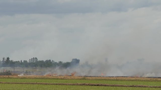 Extreme Fire In The Field.