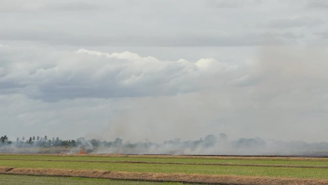 Extreme Fire In The Field.