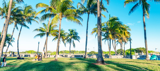 Fototapeta na wymiar Lummus Park on a sunny day, Miami Beach, Florida - USA