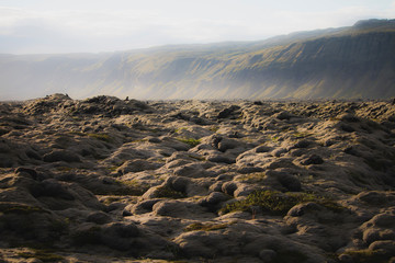 Beautiful volcanic mossy landscape in Iceland with mountain background