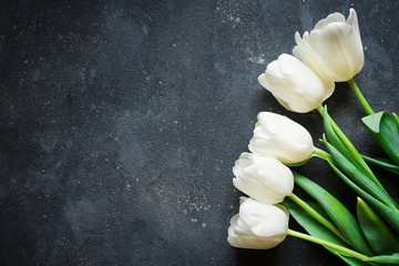white tulips on a dark gray cement background are on the right and give free space