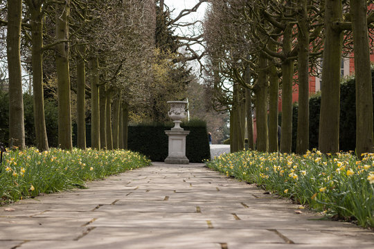 Beautiful Alley with Blooming Flowers of Yellow Daffodils. View of Spring Park. Concept: Springtime & English Garden Style.