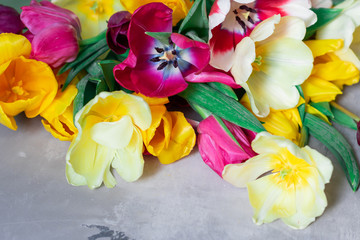 Bouquet of multicolored tulips.