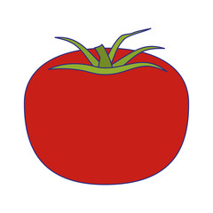Tomato vegetable fresh food blue lines