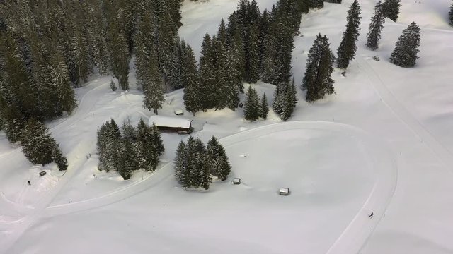 cross-country_skiing
