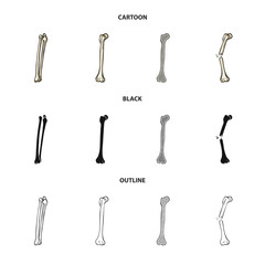 Naklejka premium Isolated object of medicine and clinic logo. Set of medicine and medical stock symbol for web.