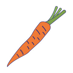 Carrot vegetable fresh food blue lines