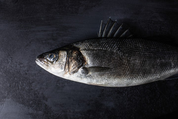 Sea bass with silver scales and raised fins on the dark grey background