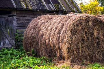 A stack of hay on the background of an old barn