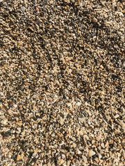 multi-colored small stones of the seashore, background