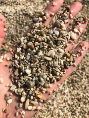multi-colored small stones of the seashore, background