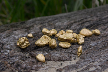 Pure gold ore on old wood	