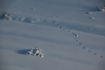 Mountain hut in the winter snow covered landascape.savsat/artvin/turkey