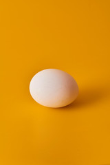 egg on yellow background