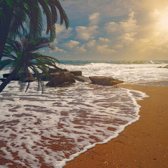 Tropical Heaven. Natural sea and ocean backgrounds