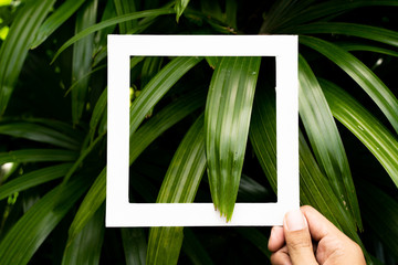 plant pattern tropical leaf background design portrait