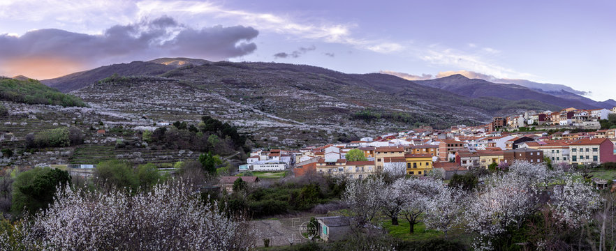 Valle del Jerte rodeado de cerezos en flor