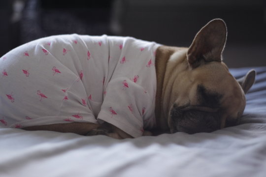 Oto&ntilde;o con Simona II