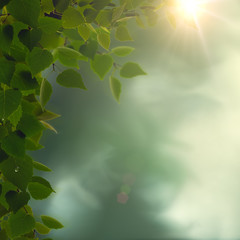 Rainy morning. Abstract seasonal backgrounds with green foliage, dew and sun beam