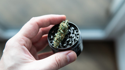 Metal grinder for marijuana. Marijuana recreational use