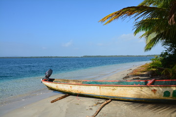Fototapeta na wymiar Starfish Beach Isla Colon Bocas del Toro Panama - Playa de las Estrellas