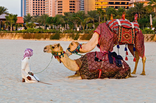 Camel rider on beach on Dubai Marina middle eastern guys