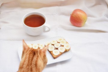 Minimalistic breakfast with ginger cat, cup of tea, apple and decorated bread with banana