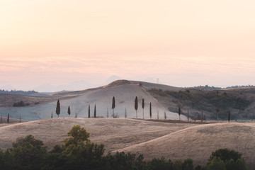 Tuscany trees and hills