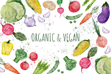 Set of vegetables, hand drawn watercolor