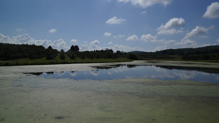 pond