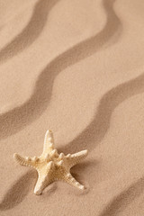 Fototapeta na wymiar sea star or starfish on tropical beach sand. Sandy background with rippled lines and open copy space.