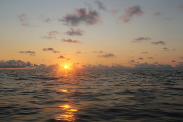 Fototapeta premium sunset in the pacific ocean