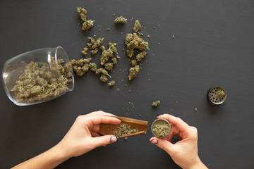 Pot use concept. Close up. Woman preparing and rolling marijuana cannabis joint. Close up of...